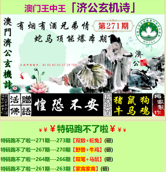 王中王资料一肖中特天王，揭秘神秘的面纱，揭秘王中王资料一肖中特天王的神秘面纱