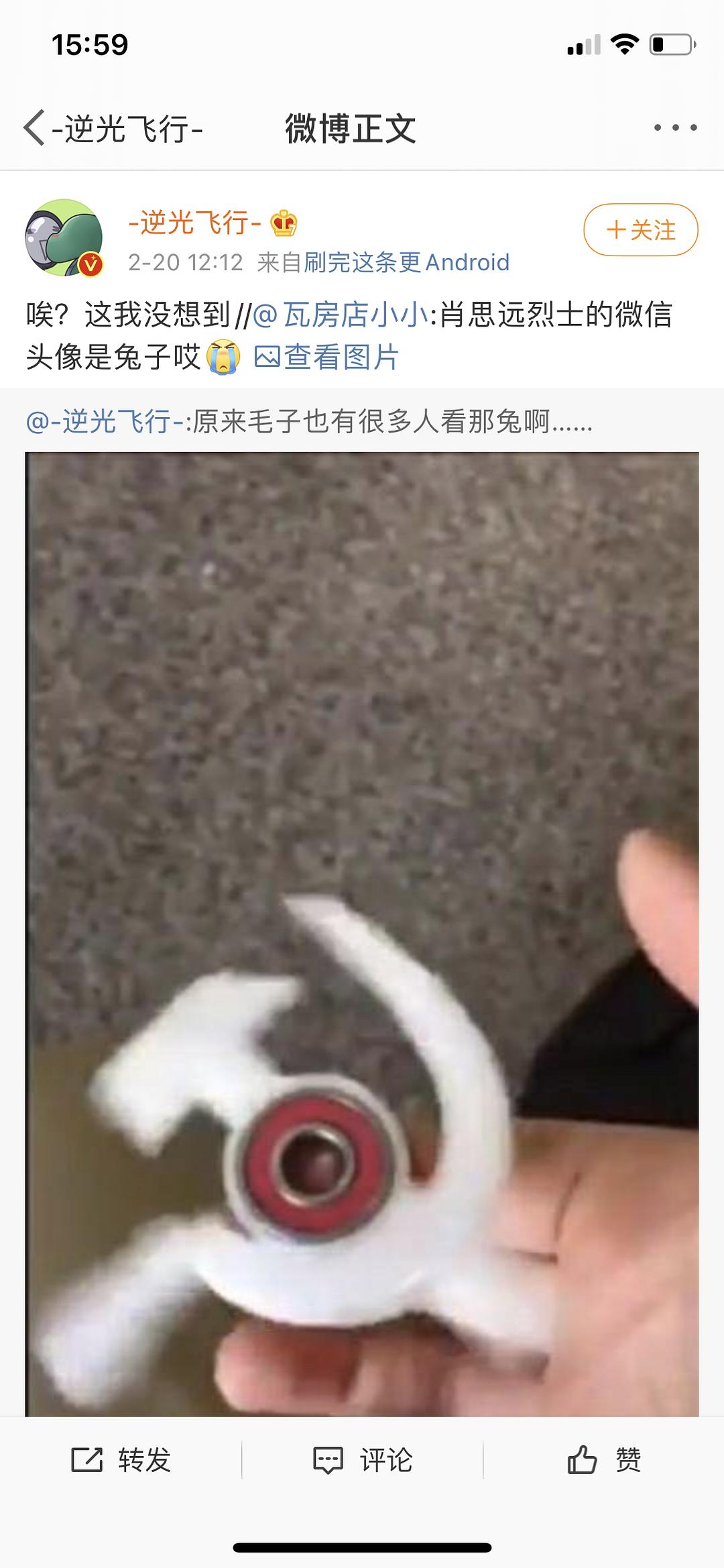 肖思远兔子，一种超越时空的寓言与启示，肖思远兔子，跨越时空的寓言启示