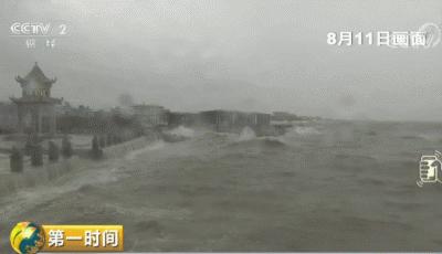 最新台风消息预报与路径分析，最新台风预报及路径分析播报