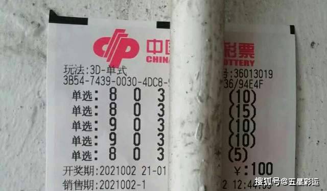 揭秘王中王平特一肖的独特魅力与传奇故事——第002期深度解析，揭秘王中王平特一肖的独特魅力与传奇故事深度解析（第002期）