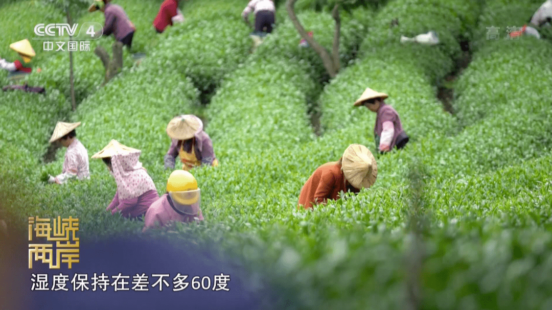 CCTV4海峡两岸片尾，情感纽带与文化传播的交融之地，CCTV4海峡两岸片尾，情感纽带与文化交融的传播高地