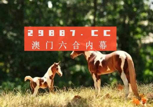 澳门今晚必开一肖，探寻生肖动物背后的文化魅力，澳门今晚必开一肖，探寻生肖背后的文化魅力