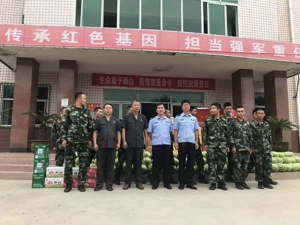 沛县人民武装部官网，连接军民桥梁，展示武装力量的窗口，沛县人民武装部官网，军民桥梁，武装力量展示窗口