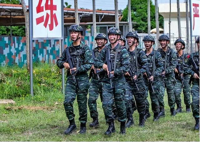 中国除了解放军还有什么部队，中国军队体系概览，除解放军外还有哪些部队？