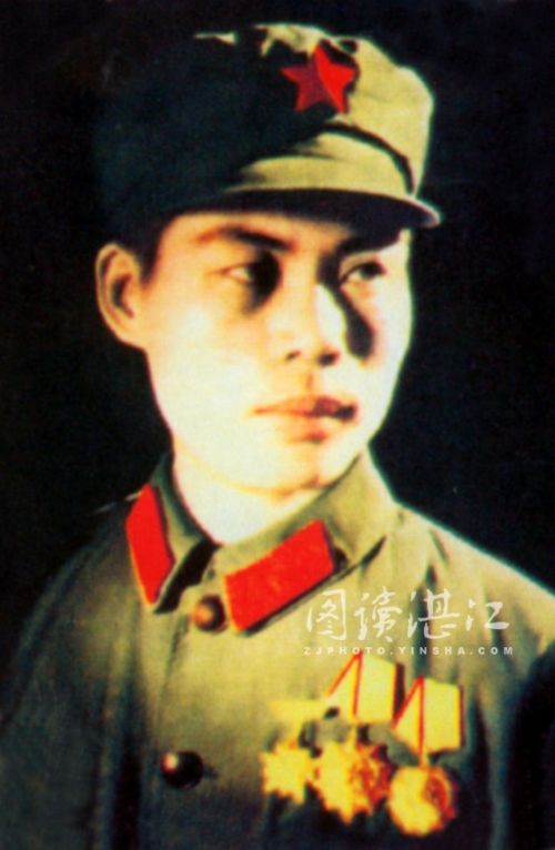 徐闻县人民武装部官网，地方军事力量的数字化展示平台，徐闻县人民武装部官网，地方军事力量的数字化展示窗口