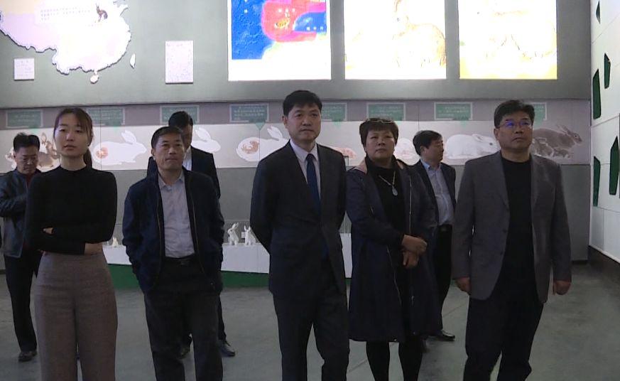 深圳今日新闻大事概览，深圳今日新闻概览