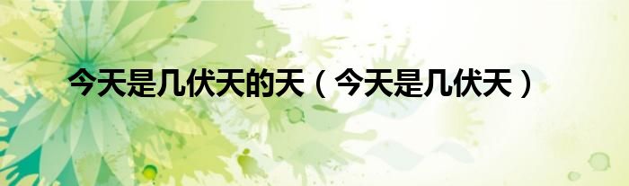 今日进入三伏天的第几章——探寻炎热背后的时间印记，三伏天的炎热背后的时间印记探寻章