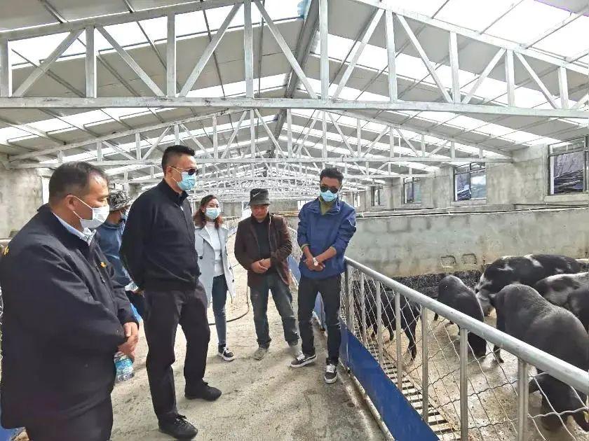 上海战略支援部队某部队，守护城市的坚强后盾，上海战略支援部队守护城市的坚强后盾