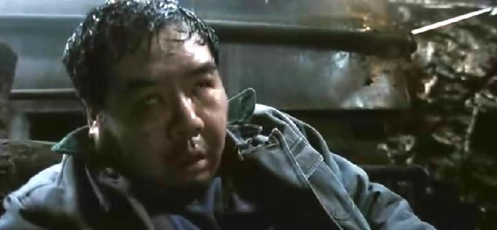 越南战争档案，揭示历史真相的重要篇章，越南战争档案，揭示历史真相的珍贵篇章