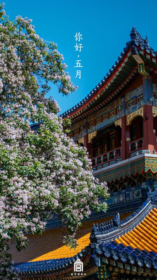 国博门票预约攻略，轻松掌握预约流程，国博门票预约攻略，轻松掌握预约流程，畅游国家博物馆