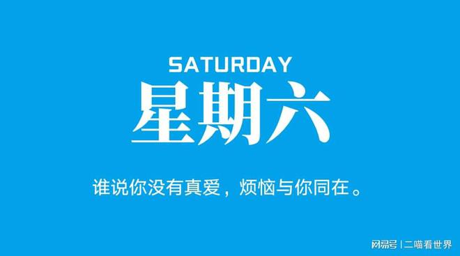 今日国际新闻头条，精选十五则简短内容，今日国际新闻头条精选十五则简短内容概览