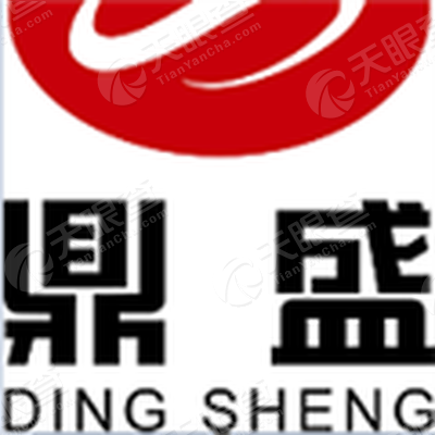 鼎盛平台官网，探索、发展与卓越体验，鼎盛平台官网，探索、发展与极致体验