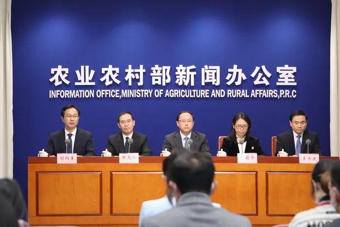 新闻发布会时间的选择与策略分析，新闻发布会时间选择与策略解析