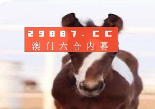 澳门一肖一码一必中一肖舟山——探寻神秘预测背后的故事，澳门神秘预测探寻，一肖必中背后的故事揭秘