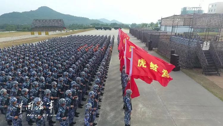 蛟龙突击队的队训，磨砺意志，锻造精英，蛟龙突击队，磨砺意志，锻造精英之旅