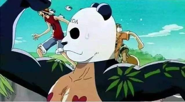 美国海军的熊猫——Panda in the US Navy，美国海军中的熊猫奇缘