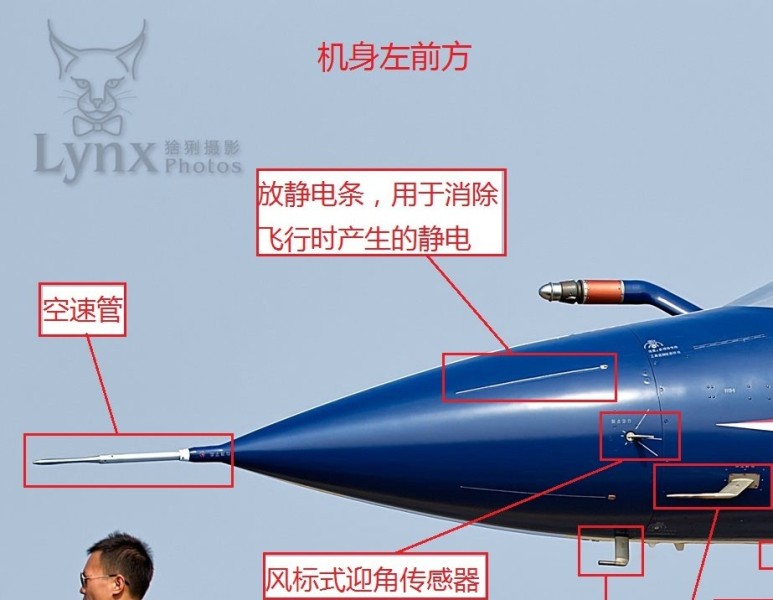 翱翔天际的雄鹰展翅高飞