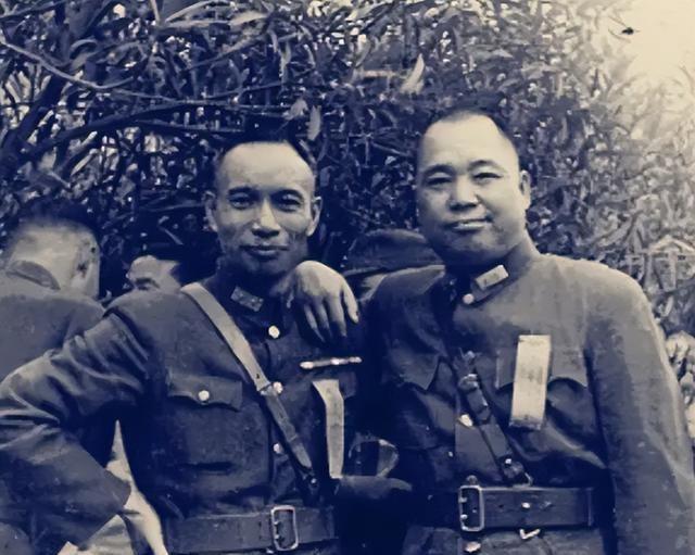 中国现役陆军上将名单及其职责概述，中国现役陆军上将名单及职责概述