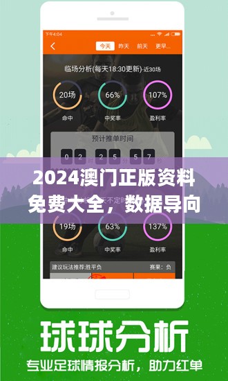 澳门最精准资料免费网站，探索与体验，澳门最精准资料免费探索与体验之旅