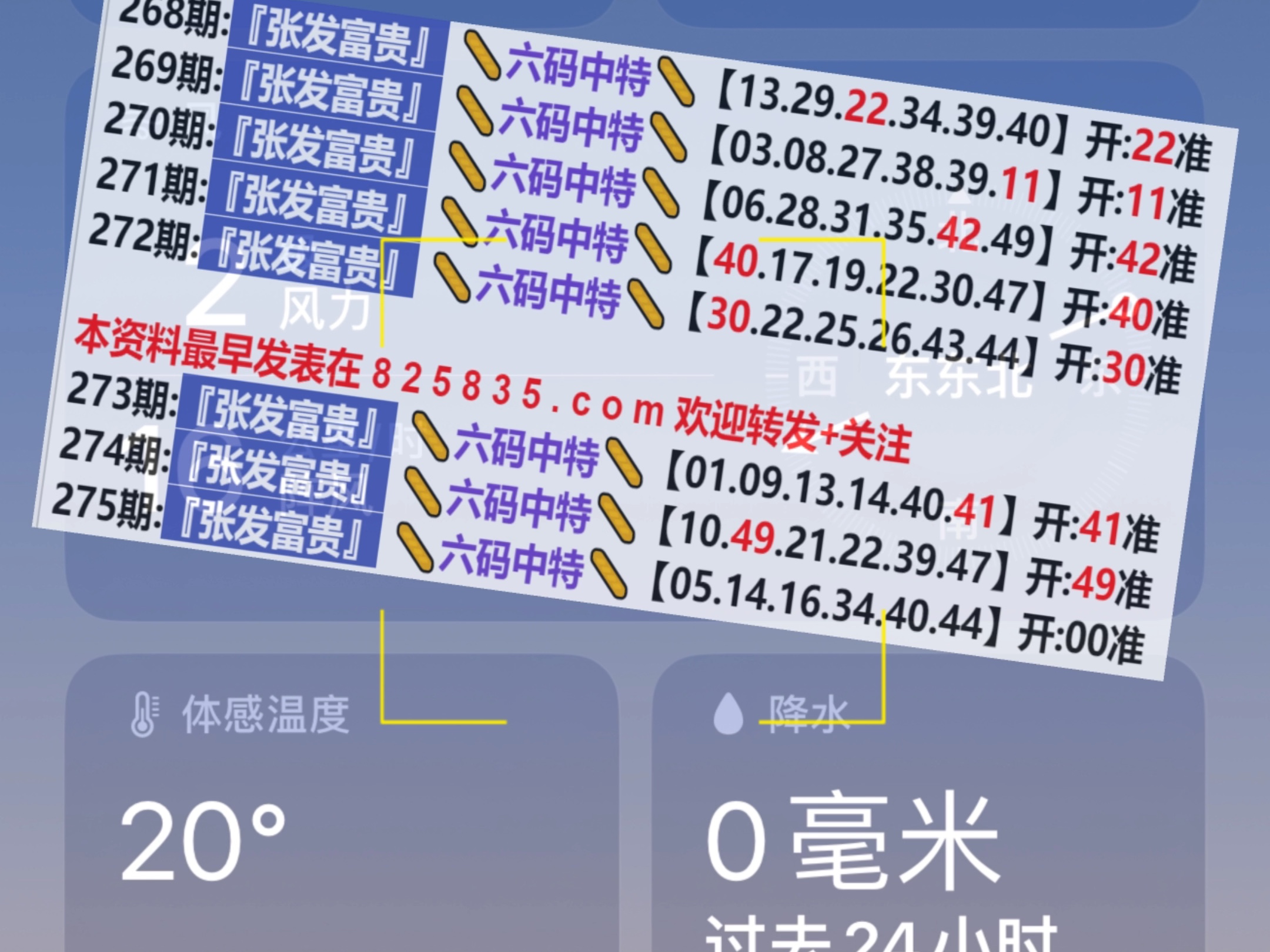 新奥门开奖结果2025开奖记录查询表
