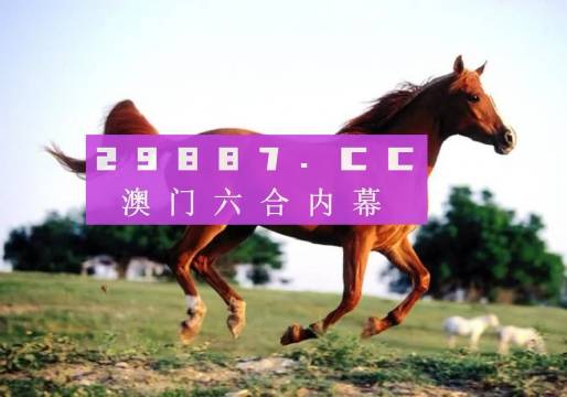 一肖一码一特一肖，探寻背后的神秘与魅力，探寻生肖魅力，一肖一码一特一肖的神秘面纱