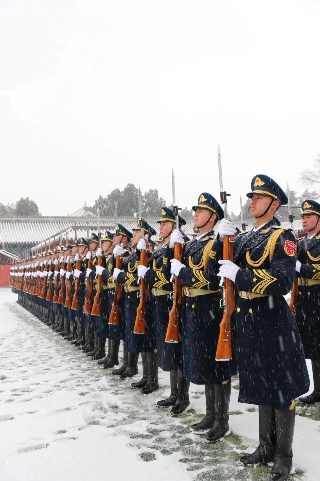 仪仗队两年必须退役吗？——对仪仗队员服役期限的探讨，仪仗队员服役期限探讨，两年退役是必须的吗？