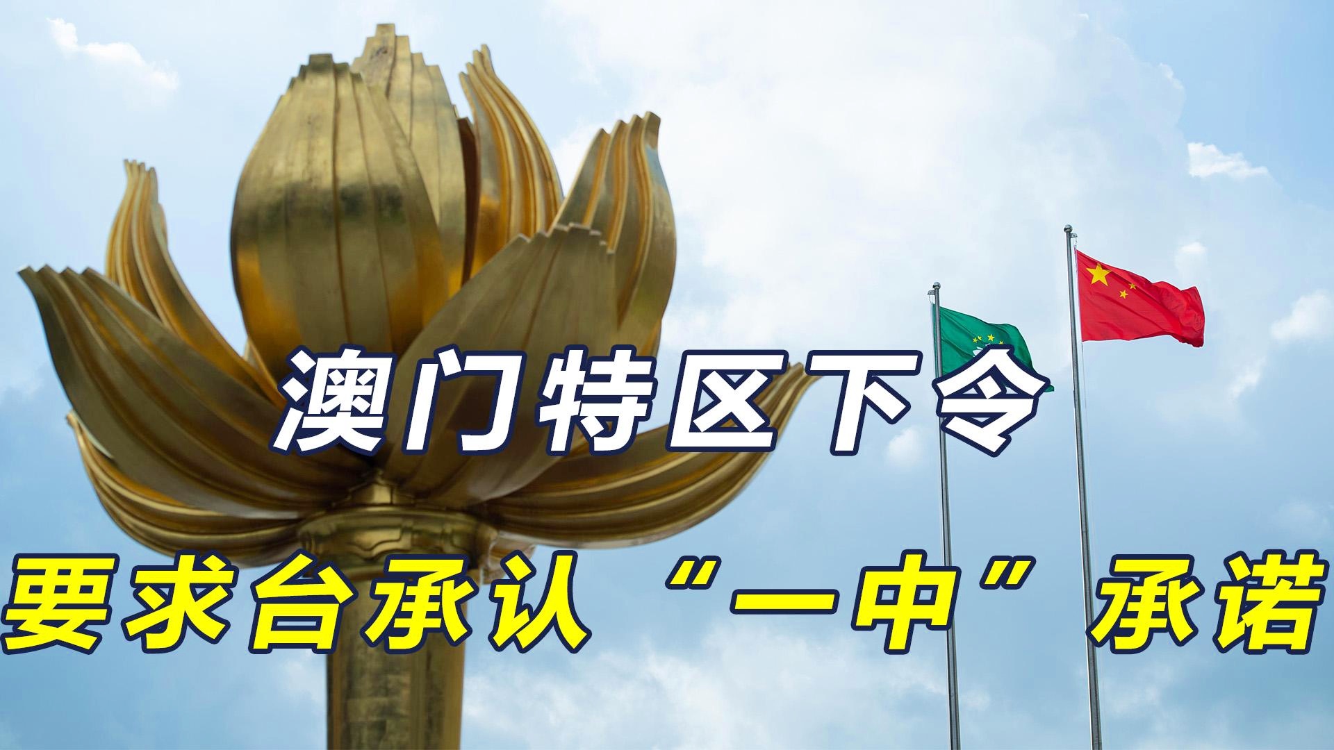 未来发展趋势分析