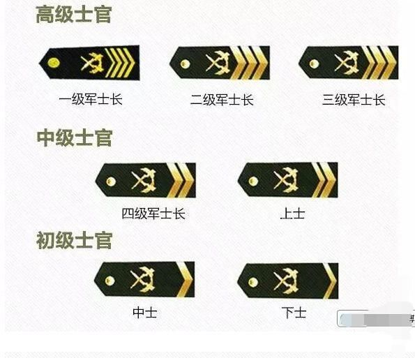 七级士官，级别待遇深度解析，七级士官级别待遇深度解析与探讨