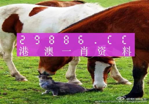 王中王与澳门特肖一马，探索未知的领域，王中王与澳门特肖一马，未知领域的探索之旅