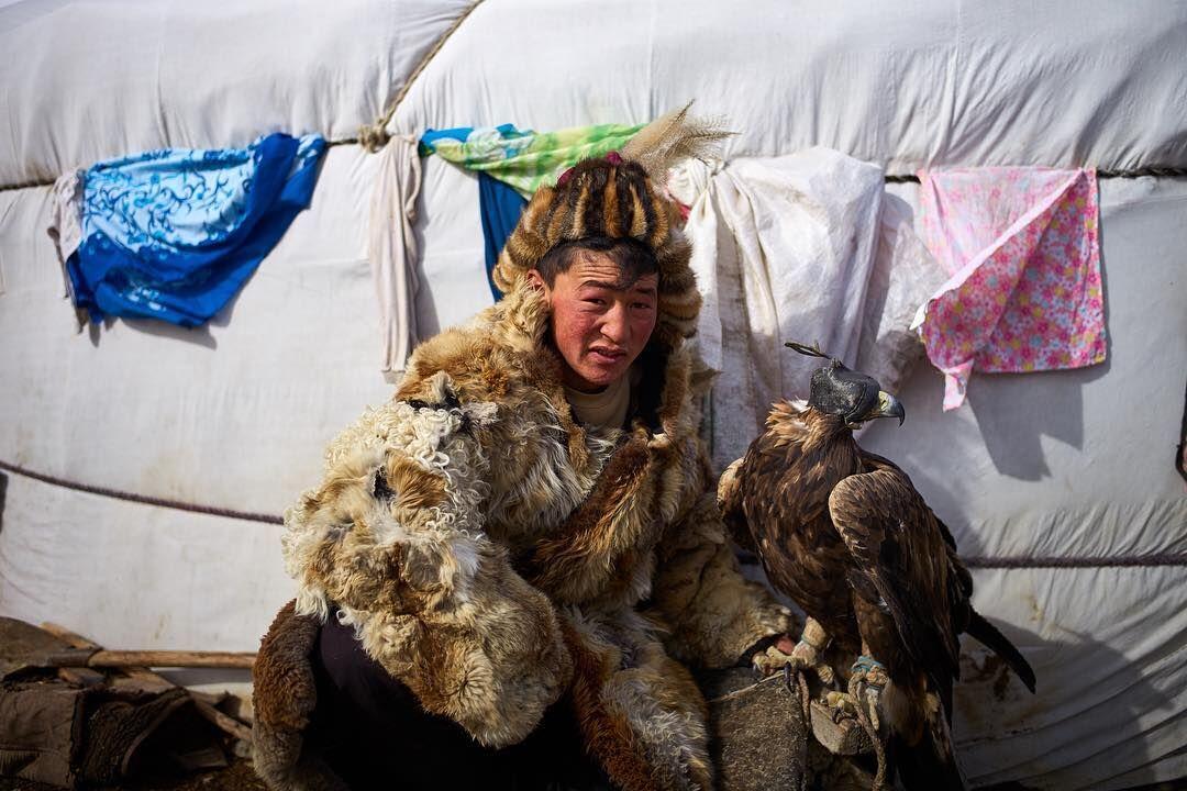 鹘鹰战机上的鹰，探索空中力量的象征与未来，鹘鹰战机之鹰，空中力量的象征与未来探索