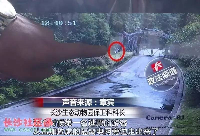中央新闻聚焦福建兄妹事件，揭示真相，维护社会公正，福建兄妹事件真相揭秘，中央新闻聚焦事件，捍卫社会公正