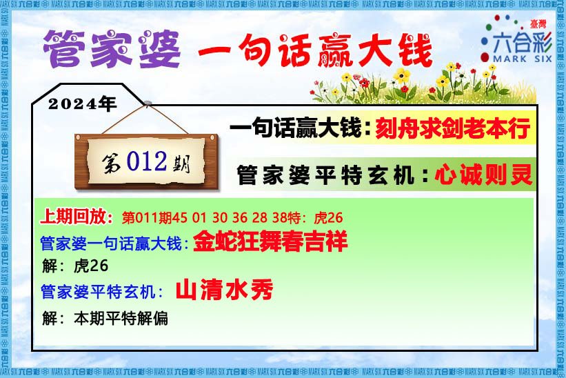 王中王资料一肖中特管婆，深度解析与探讨，王中王资料与深度解析，揭秘一肖中特管婆的秘密