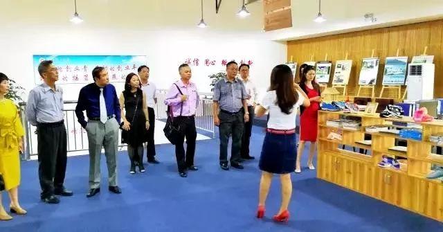 泉州轻工职业学院，历史沿革、专业特色与教育贡献，泉州轻工职业学院，历史沿革、专业特色及教育贡献概览