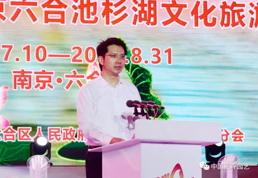 香港六合与香港澳门，历史、文化及未来的探索，香港六合与澳门，历史、文化与未来探索