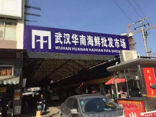 华南海鲜市场女老板的老公，坚韧与担当背后的故事，华南海鲜市场女老板背后的坚韧与担当，丈夫的故事