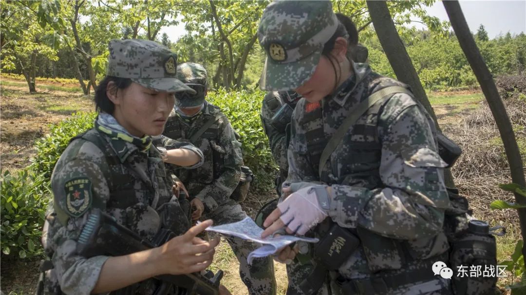 电子对抗领域中的女兵身影，数量与影响，电子对抗领域中的女兵，数量与影响力逐渐显现
