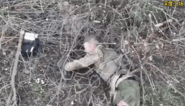 乌克兰牺牲了多少女兵，战争的残酷与女性的力量，乌克兰女兵牺牲人数揭示战争残酷与女性力量