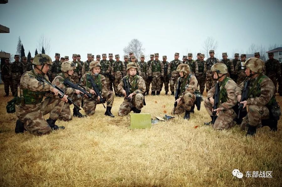 新兵下连集训，深度探究其目的与内容，新兵下连集训，目的与内容的深度探究