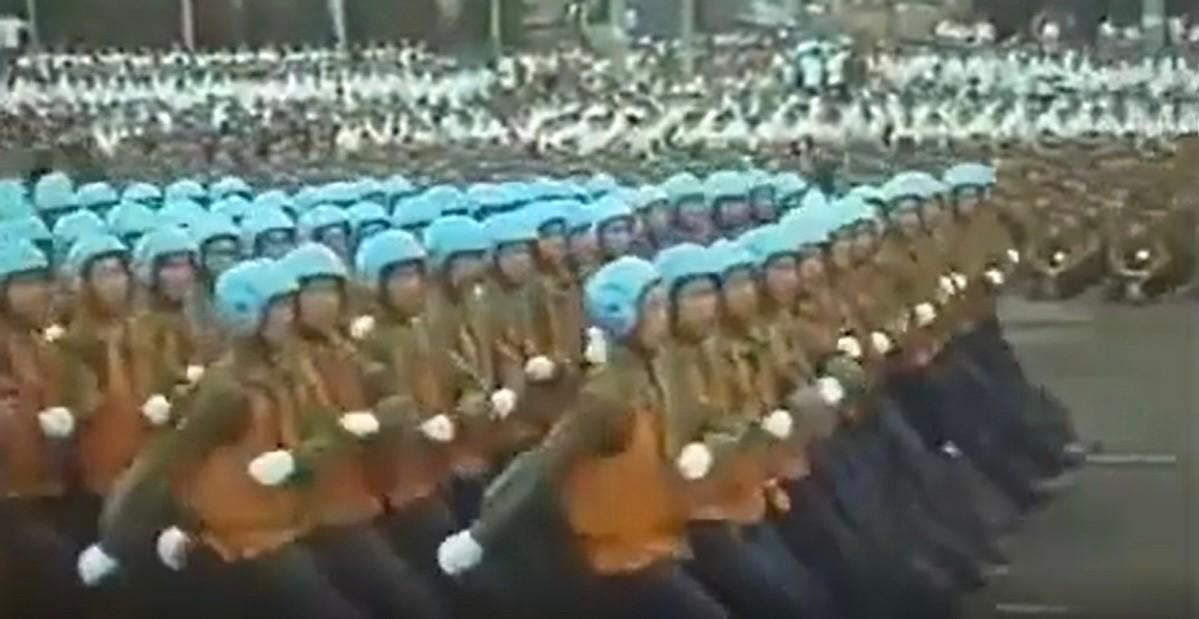 女兵，一部跨越时代的电影传奇（1981），女兵，跨越时代的电影传奇之旅（1981）