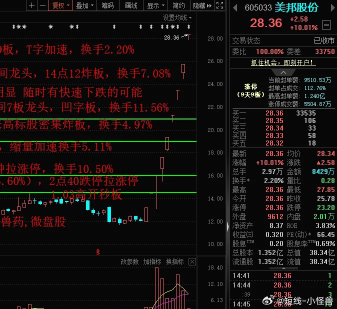 美邦股票，市场趋势与投资分析，美邦股票，市场趋势深度解析与投资策略探讨
