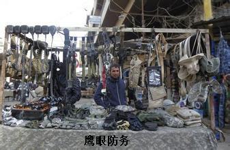 武器装备的种类与概述，武器装备种类概览与概述
