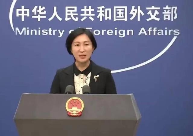 外交部回应反将一军，策略智慧与国家利益的守护，外交部巧妙反将一军，策略智慧与国家利益的坚定守护