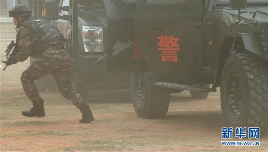 蛟龙突击队与海豹突击队实战演戏视频完整呈现，揭秘蛟龙突击队与海豹突击队的实战演习，震撼视频展现战斗现场