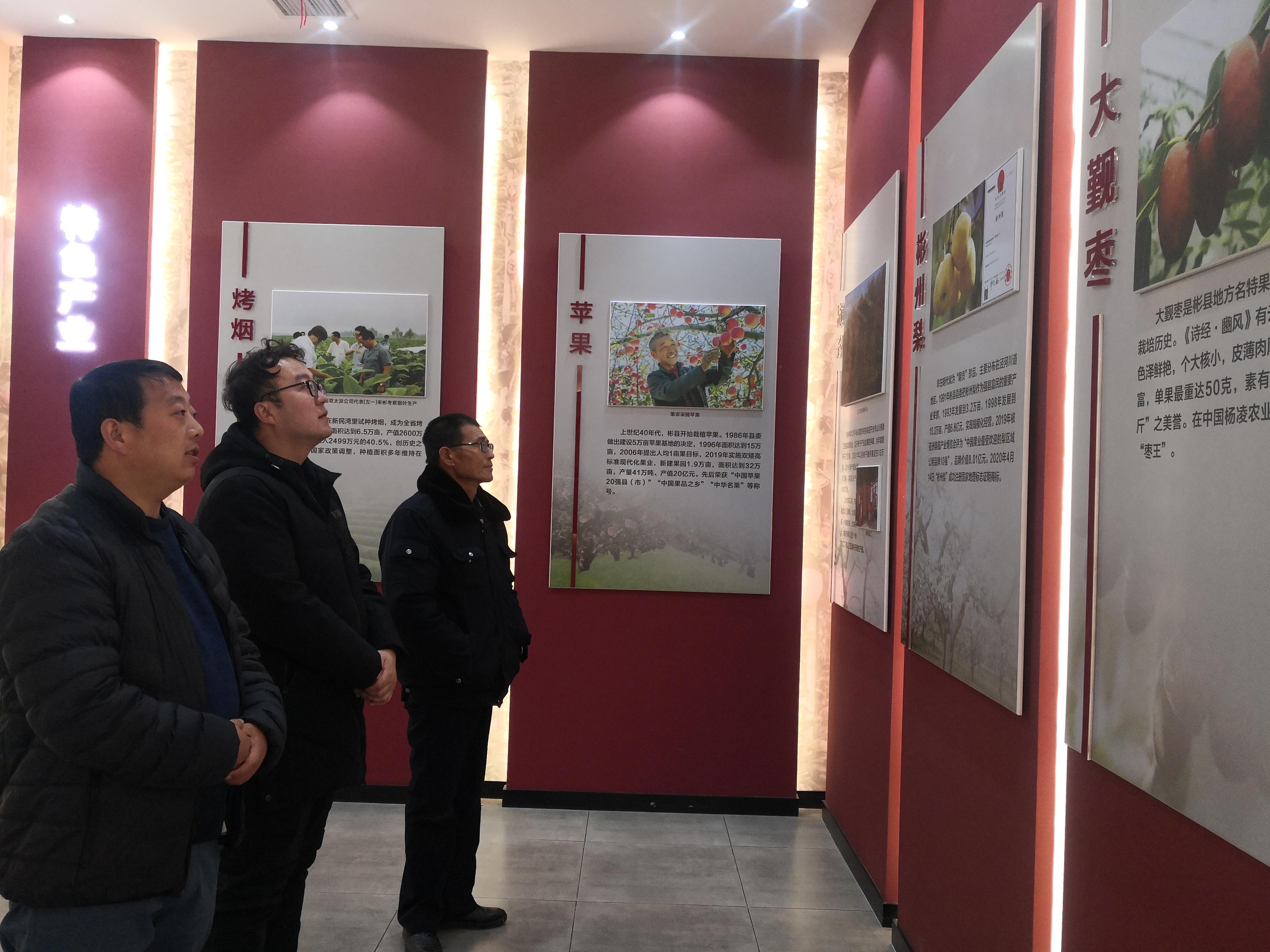 陕西省彬州市龙高镇土陵村最新新闻消息概览，陕西省彬州市龙高镇土陵村最新新闻概览