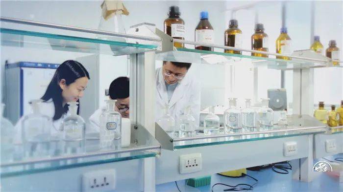 新澳门王中王100%期期中——揭秘彩票背后的秘密,揭秘新澳门王中王彩票,期期中背后的秘密