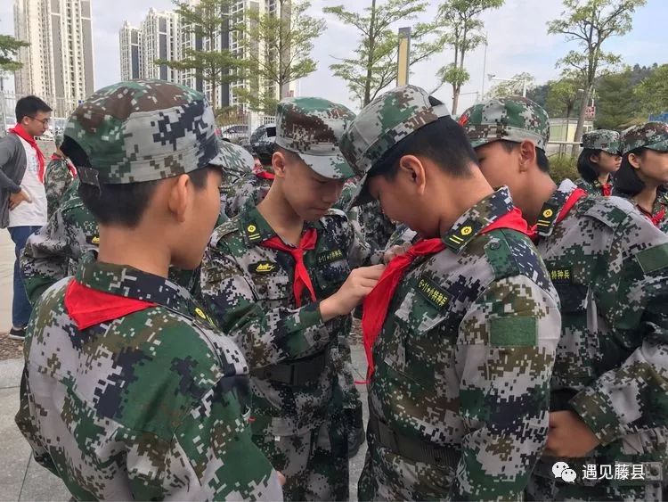 藤县人民武装部官网，连接军民，共筑未来，藤县人民武装部官网，军民共筑未来