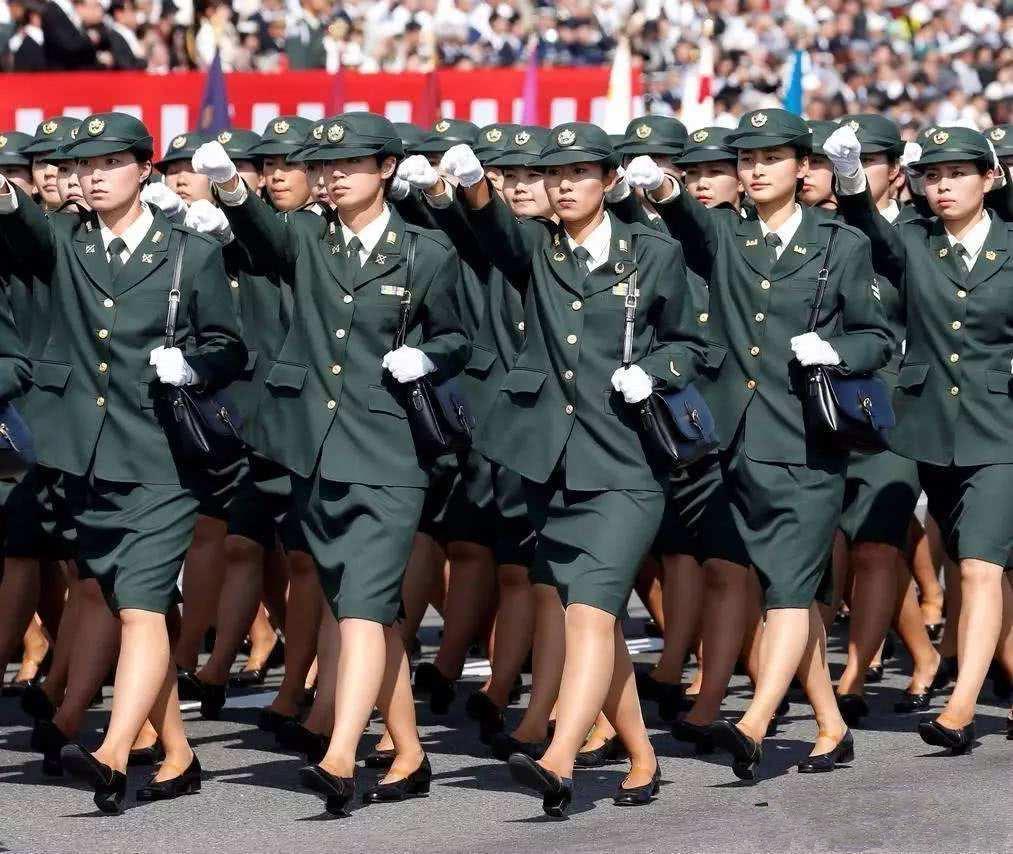 女兵方队资料，揭示女性力量在军队中的崛起与贡献，女兵方队资料揭示女性力量在军队中的崛起与显著贡献