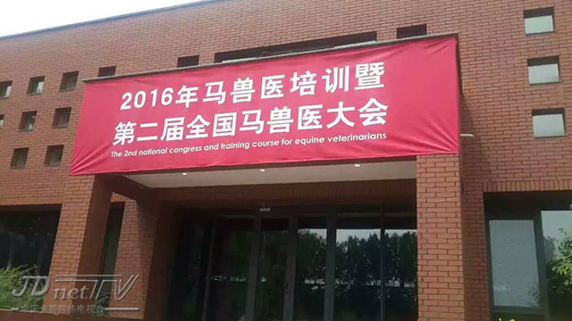 齐长明，一位引领时代的杰出人物，齐长明，时代引领者的杰出风采