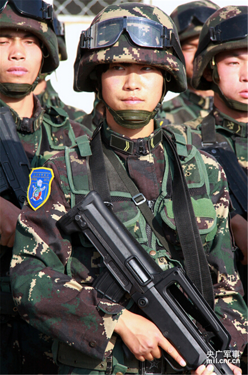和平使命2014，武器的角色与意义，和平使命2014，武器角色与意义探究