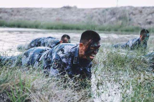 海军陆战队所属兵种的深度解析，海军陆战队所属兵种的全面深度解析